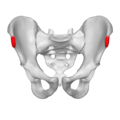 Thumbnail for version as of 20:39, 9 February 2015