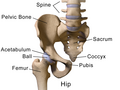 Thumbnail for version as of 16:29, 3 December 2013